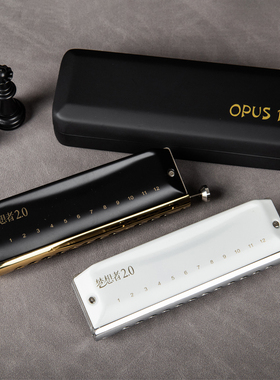 EASTTOP东方鼎新款半音阶口琴梦想者2.0专业演奏12孔初学入门精品