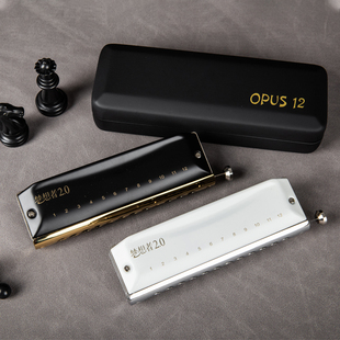 EASTTOP东方鼎新款半音阶口琴梦想者2.0专业演奏12孔初学入门精品