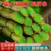 霍山铁皮石斛鲜条中药材新鲜石斛官方1斤500g正品 安徽冠农旗舰店