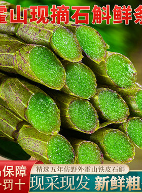 霍山铁皮石斛鲜条中药材新鲜石斛官方1斤500g正品安徽冠农旗舰店