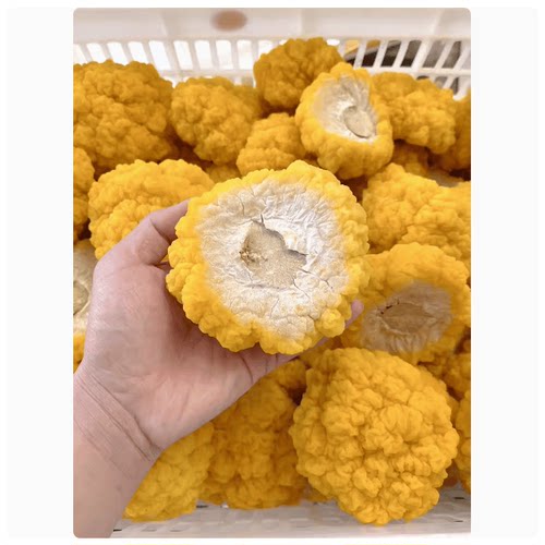 云南特产1000g非干货新鲜银耳菌