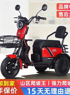 【强力爬坡】包邮到家小型代步车