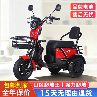 【强力爬坡】包邮到家小型代步车