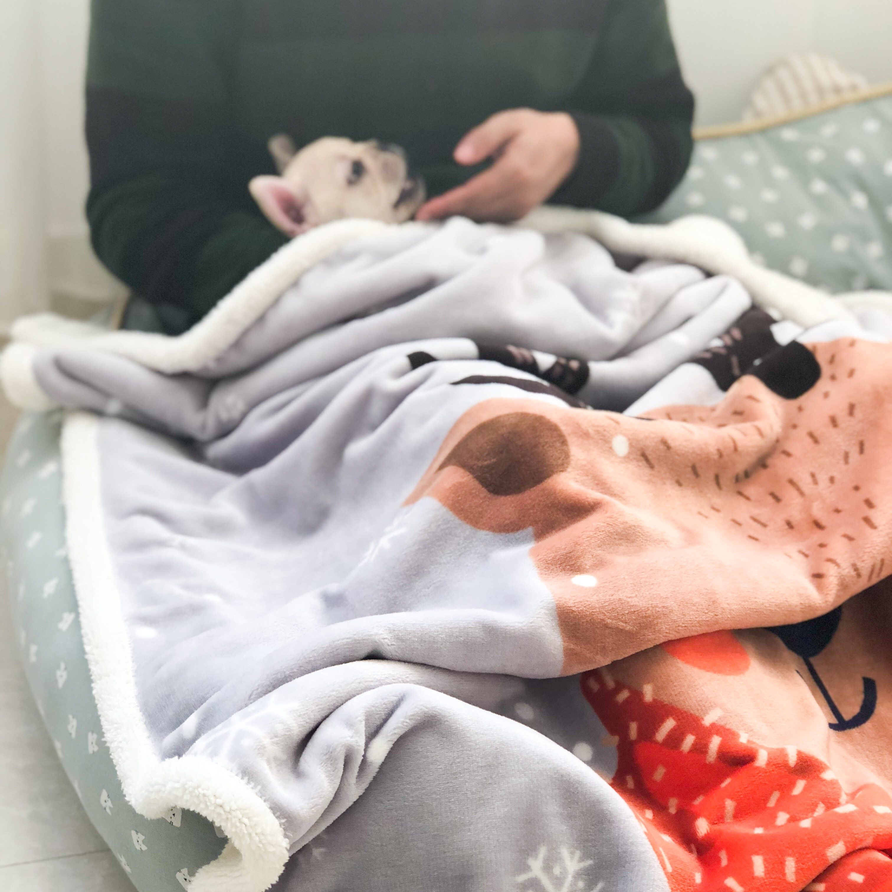 宠物狗毛毯双层拉舍尔羊羔绒狗垫子毯子加厚超大保暖盖毯秋冬包邮