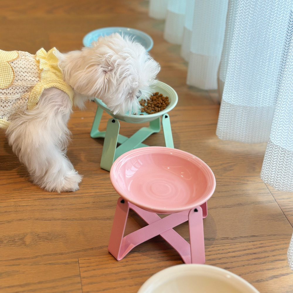 铁架宠物陶瓷碗护脊防打翻猫碗喝水吃粮饭盆幼犬可爱马卡龙狗盆