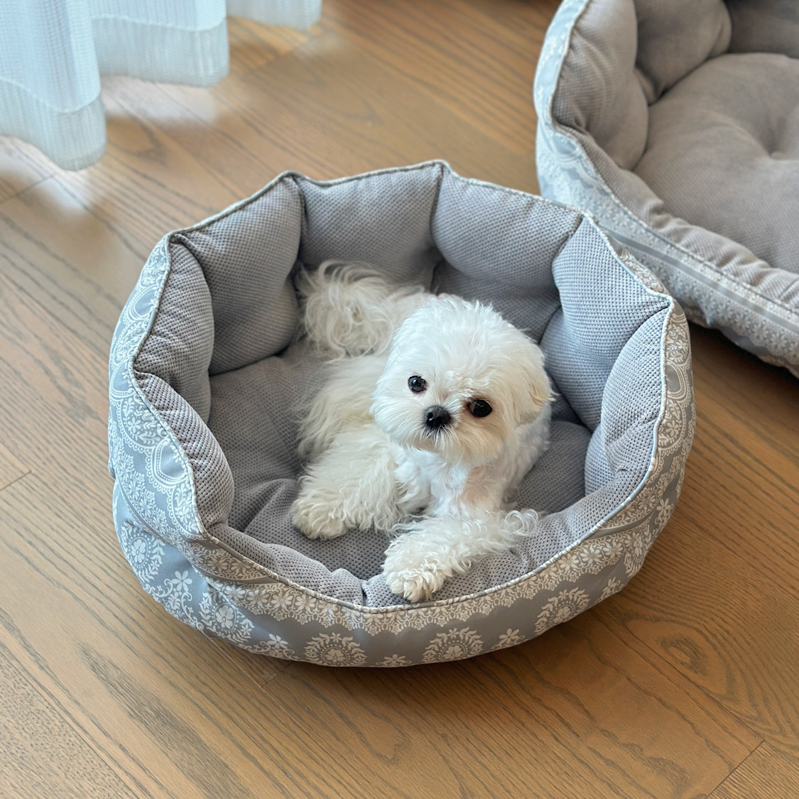 秋冬宠物狗床猫窝高帮保暖加厚