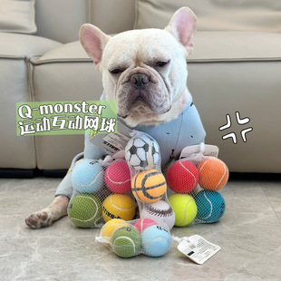 qmonster狗狗弹力发声网球玩具套装 耐咬犬磨牙解闷独处逗狗玩具