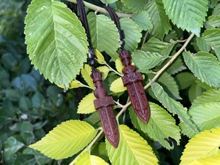 天然红枣木·挂脖佩戴（2个699元）