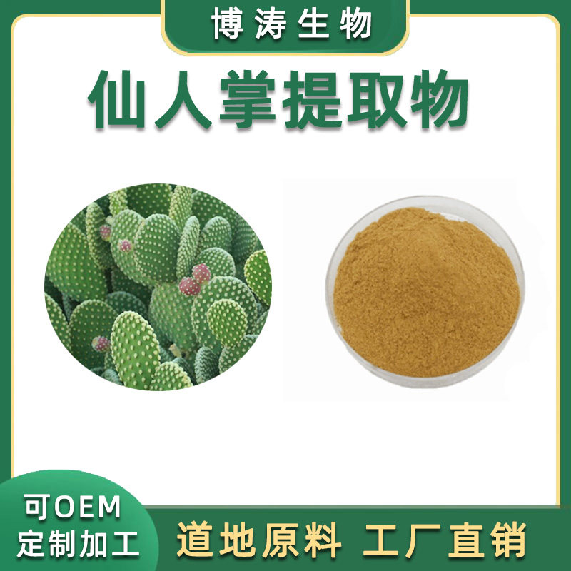 仙人掌提取物 仙人掌粉末 水溶浓缩粉精华原料粉 工厂现供100克
