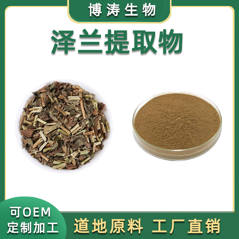 泽兰提取物 20:1 泽兰水溶粉 浓缩粉 天然植物原料提取物品质保障