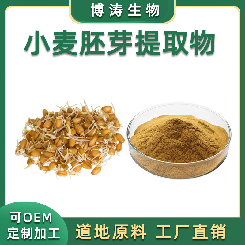 小麦胚芽提取物 天然亚精胺粉末原料粉 补充剂延缓蛋白质衰老