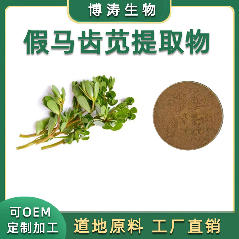 假马齿苋提取物 20:1精华浓缩粉末 假马齿苋天然提取物 现货直供