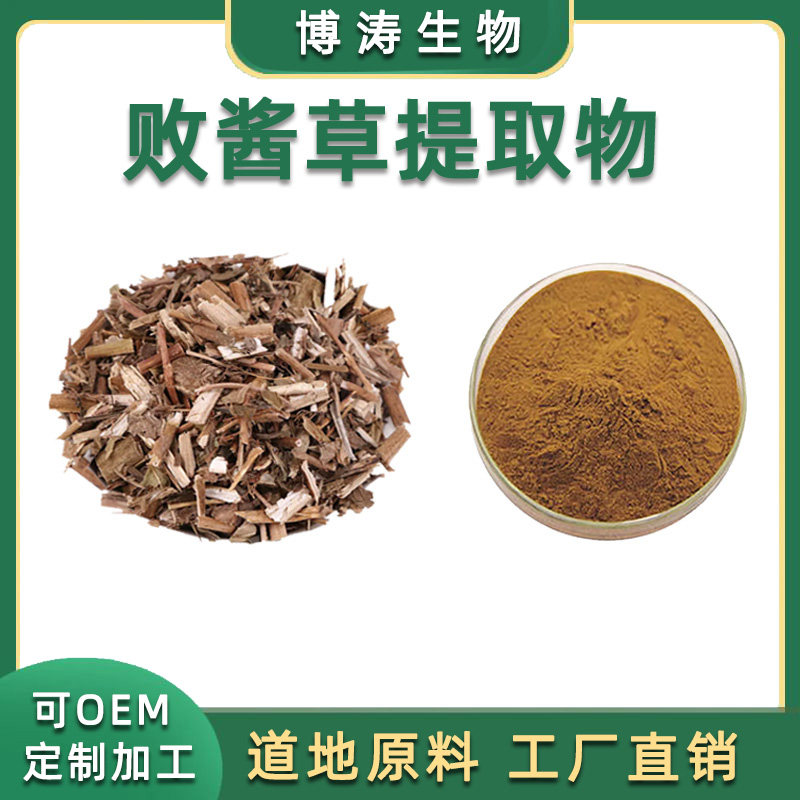 败酱草天然萃取原料现货供应