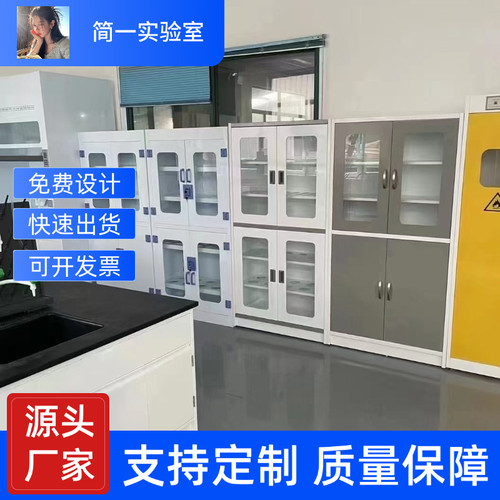 实验室药品柜试剂柜样品柜仪器柜全木pp全钢不锈钢带锁玻璃器皿柜