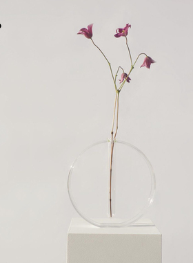 弥生志 wabisabi侘寂亚克力透明试管花瓶限量版简约禅意装饰摆件