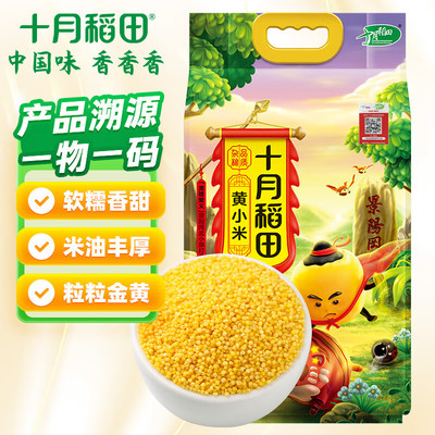十月稻田黄小米小米粥五谷杂粮