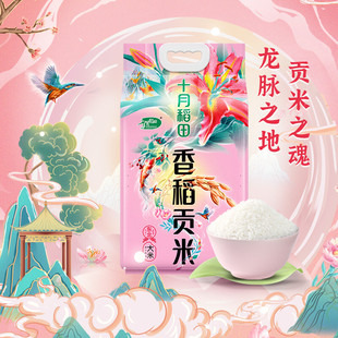 当季新米 十月稻田 香稻贡米 东北大米 5kg 香米 粳米 十斤