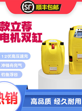 冲锋舟橡皮划艇SUP浆板帐篷气垫车载高压户外12伏车载 电动充气泵