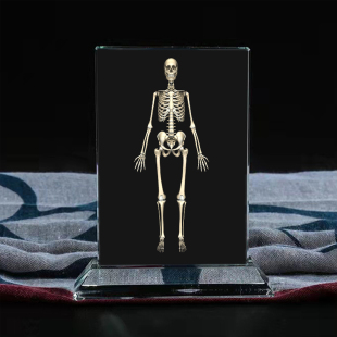 定制全身立体白骨观观想图水晶玻璃摆件工艺品摆照片文创礼品礼物