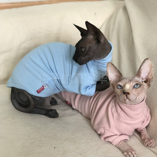 Осенний хлопковый бандаж пупочный, базовая толстовка, популярно в интернете