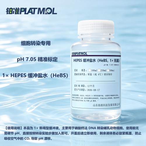 1× HEPES 缓冲盐水（HeBS）无菌即用型 细胞转染pH 7.05