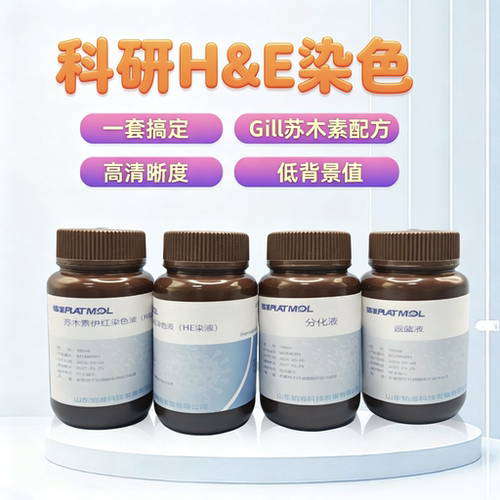 Gill苏木素伊红生物实验染色液