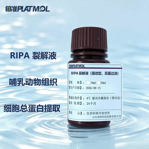 RIPA裂解液即用型脱氧胆酸钠