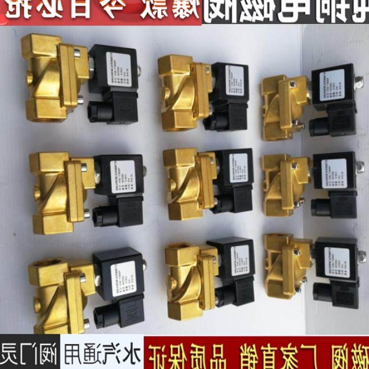 SLP-25电磁控制阀 220v 电磁阀开关阀水气4 6分35 DN40 slp50膜片