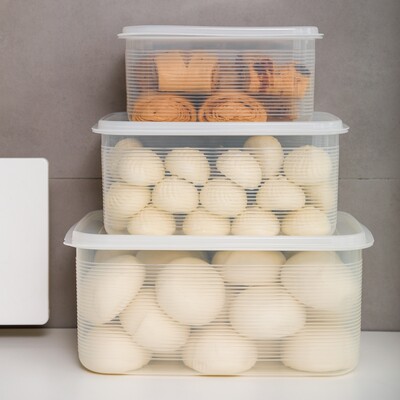 馒头包子日本保鲜盒大容量抗菌