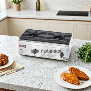 日本林内商用台式两眼燃气灶内焰燃烧式煤气灶带熄火保护