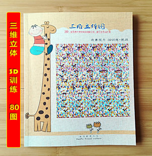 定制三维立体图儿童成人3d画册视力专注力训练益智游戏裸眼3D图