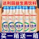 乳酸菌益生菌酸风味饮料0脂肪饮料批特价 整箱12瓶批发