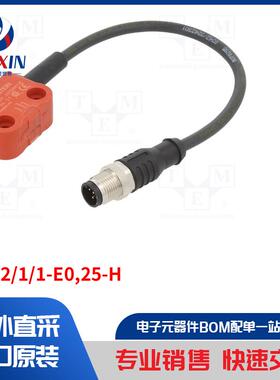 SRF-2/1/1-E0,25-H 安全开关类型-磁性