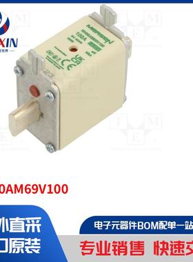 NH00AM69V100 保险丝类型-保险丝