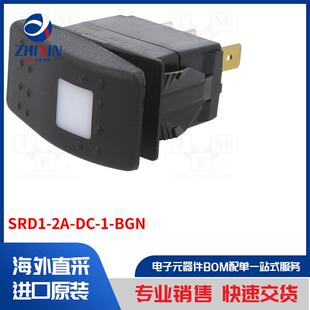 开关类型 SRD1 ROCKER BGN