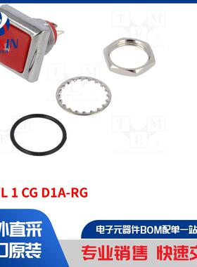 DPWL 1 CG D1A-RG 开关类型-按钮