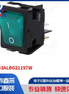 C6053ALBG21197W 开关类型-ROCKER