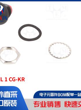 DPWL 1 CG-KR 开关类型-按钮