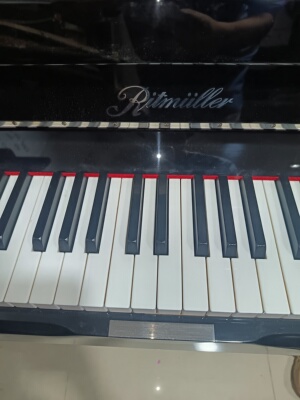 里特米勒RITMUILLER二手钢琴家用练习考级演奏琴