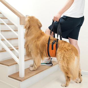 狗狗后腿残疾辅助背带受伤老年犬上下车助力牵引绳宠物走路上楼用