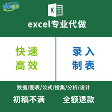 excel表格制作数据打字录入WORD文档排版编辑美化设计PDF转换代做