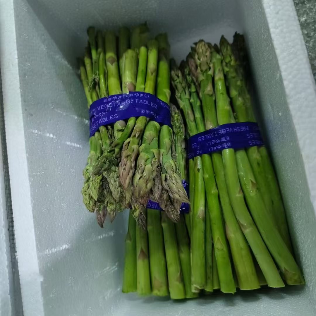 上海崇明岛新鲜芦笋现挖嫩青绿芦其它