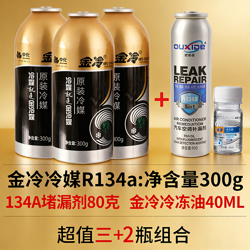 汽车空调加氟R134a加氟套装