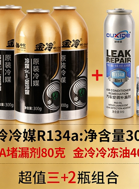 汽车空调加氟R134a加氟套装