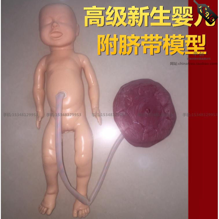 高级出生婴儿附脐带模型,满月足月新生儿护理模拟月嫂家政培训