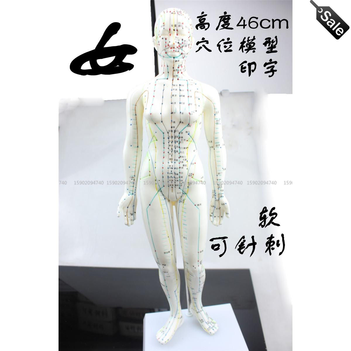 经络通人体穴位模型中医针灸女模标准超清晰按摩穴位练习软可针刺