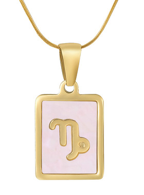 跨境钛钢蛇骨链十二星座项链女欧美18K不锈钢方块贝壳12星座吊坠