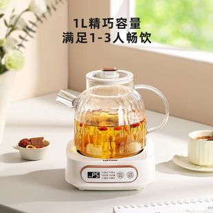 LOTOR小浣熊养生壶配茶网全玻璃加热杯办公室煮花茶养生杯电炖杯