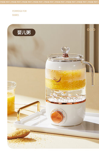 隔水炖煮多功能燕窝机BB粥炖银耳