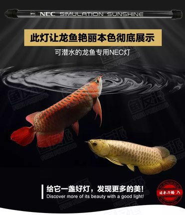 鱼缸灯鱼友汇NEC防水灯红龙金龙灯管专用T8水族6700k潜水灯